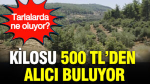 haber-gorseli-1787057890282